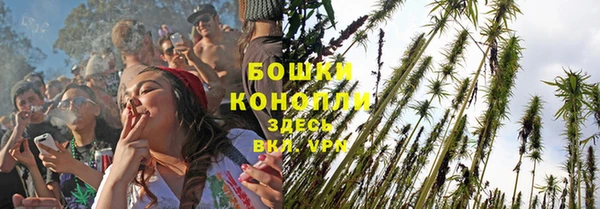 прущая мука Корсаков