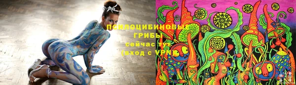 прущая мука Корсаков