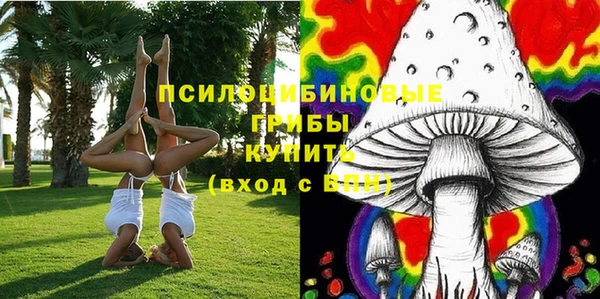 меф Коряжма