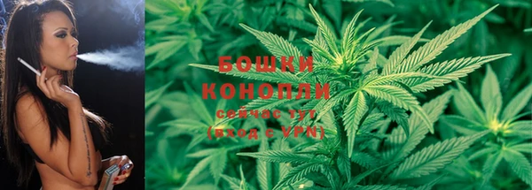 ECSTASY Козловка