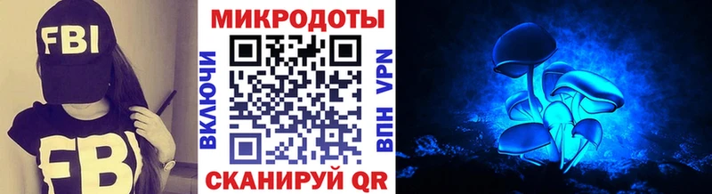 наркотики Заволжск Галлюциногенные грибы Magic Shrooms