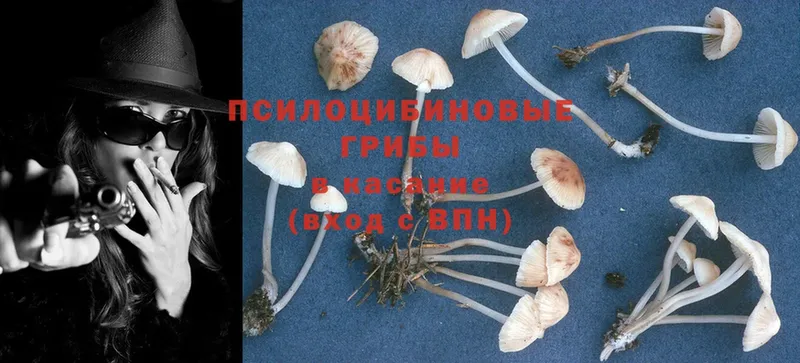 Галлюциногенные грибы Magic Shrooms  Заволжск 