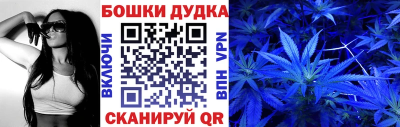 Шишки марихуана конопля  даркнет сайт  Заволжск 